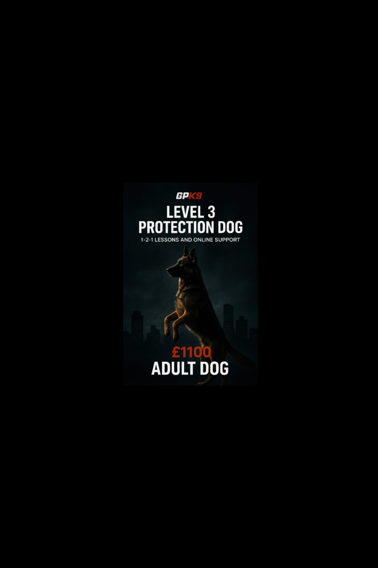 LEVEL 3 PROTECTION DOG