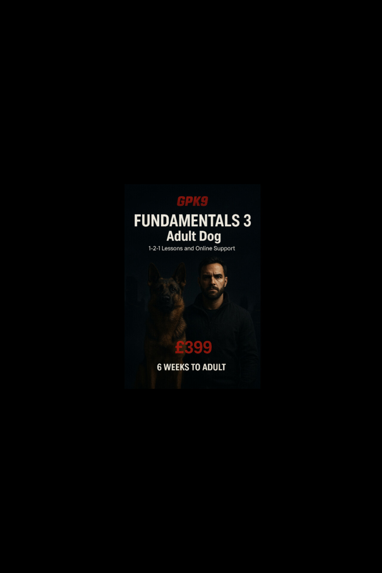FUNDAMENTALS 3 – Adult Dog
