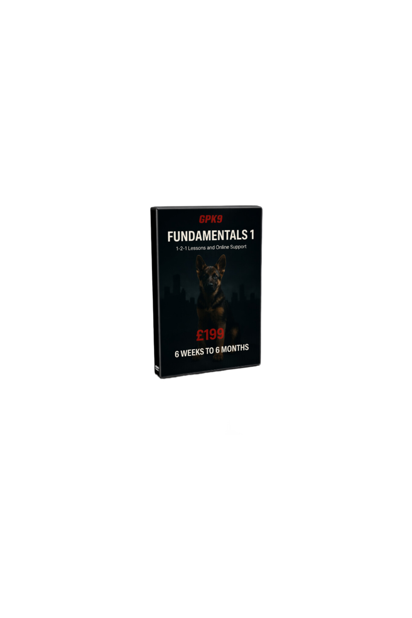 FUNDAMENTALS 1 – 6 Weeks to 6 Months