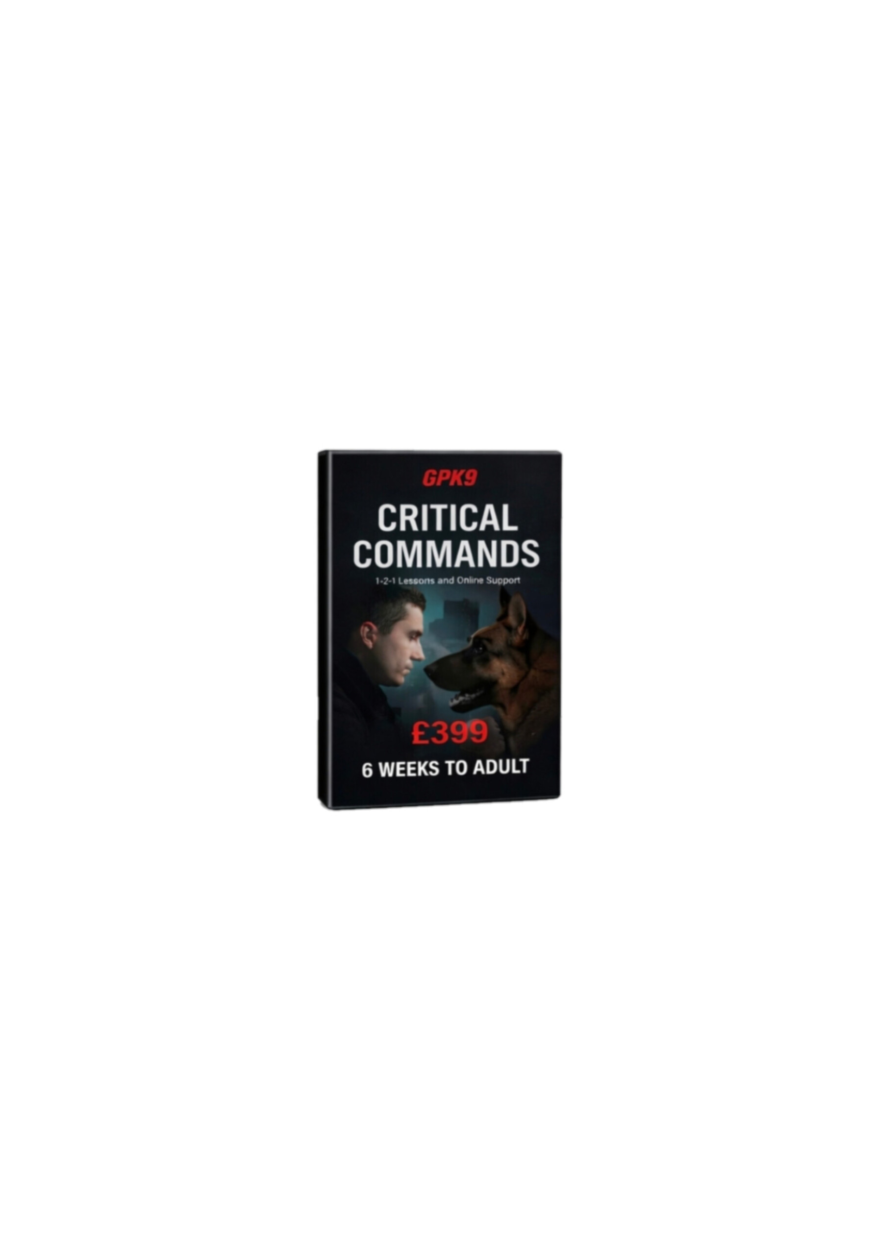 Critical Commands