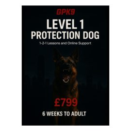 German Shepherd showing teeth in a dark foggy urban background promoting the GPK9 Level 1 Protection Dog online course.