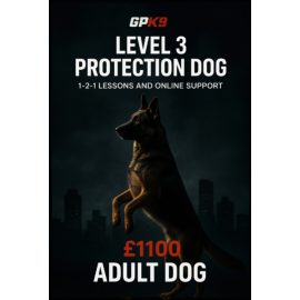 Adult German Shepherd standing on hind legs in a dark foggy city setting promoting the GPK9 Level 3 Protection Dog training course.