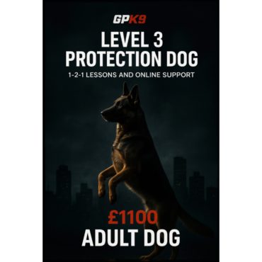 Adult German Shepherd standing on hind legs in a dark foggy city setting promoting the GPK9 Level 3 Protection Dog training course.
