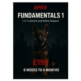German Shepherd puppy in a dark foggy city background promoting the GPK9 Fundamentals 1 dog training course.