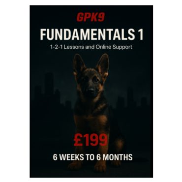 German Shepherd puppy in a dark foggy city background promoting the GPK9 Fundamentals 1 dog training course.