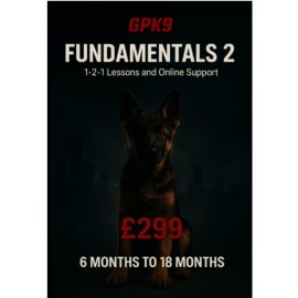 German Shepherd puppy in a dark foggy city background promoting the GPK9 Fundamentals 3 dog training course.