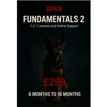 German Shepherd puppy in a dark foggy city background promoting the GPK9 Fundamentals 3 dog training course.