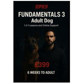 German Shepherd and male trainer standing in a dark foggy setting promoting the GPK9 Fundamentals 3 dog training course.