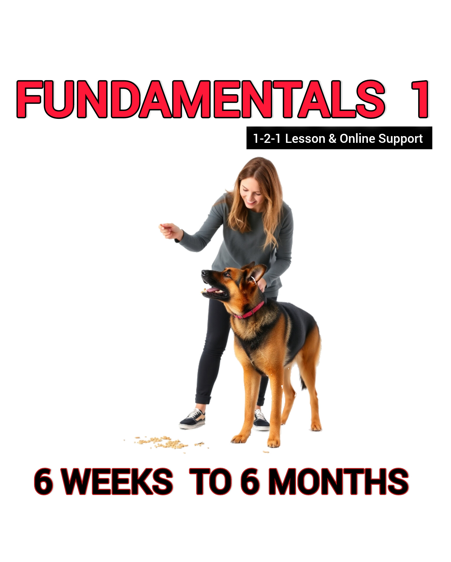 FUNDAMENTALS 1 – 6 Weeks to 6 Months