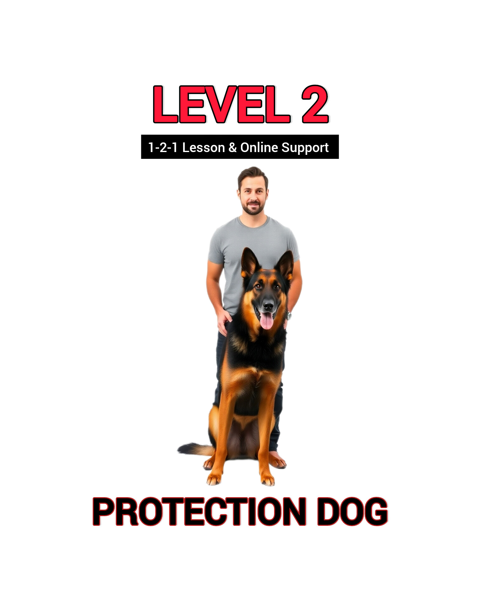 LEVEL 2 PROTECTION DOG