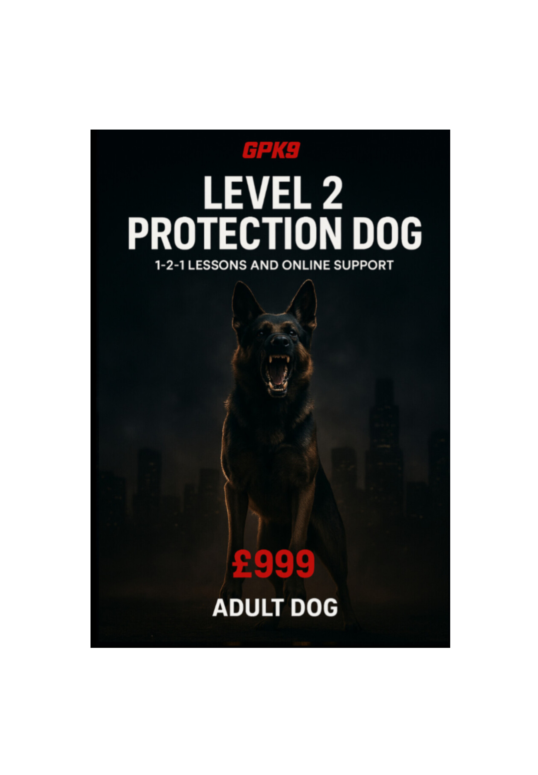 Adult German Shepherd showing teeth in a dark foggy urban background promoting the GPK9 Level 2 Protection Dog course.