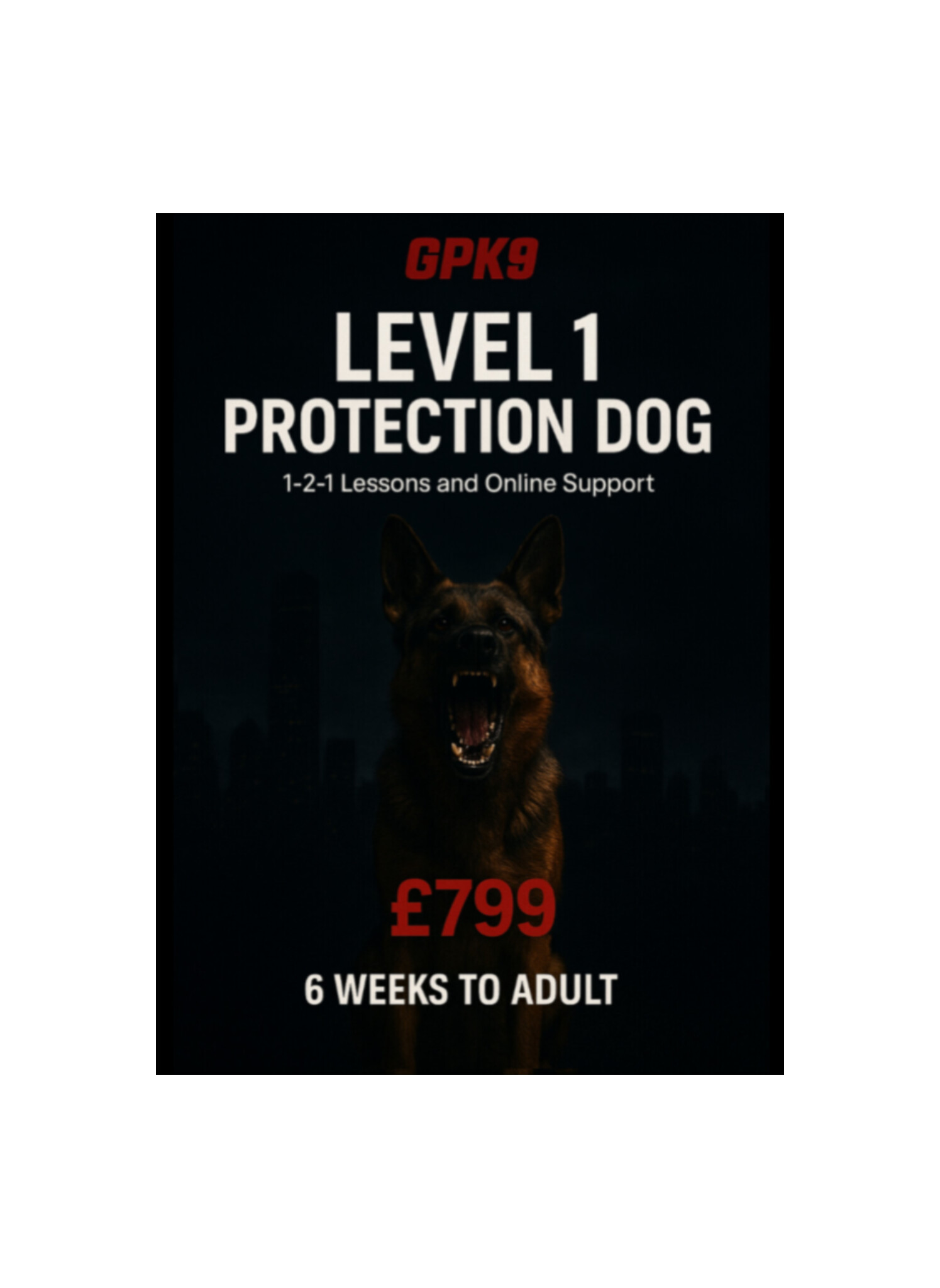 German Shepherd showing teeth in a dark foggy urban background promoting the GPK9 Level 1 Protection Dog online course.