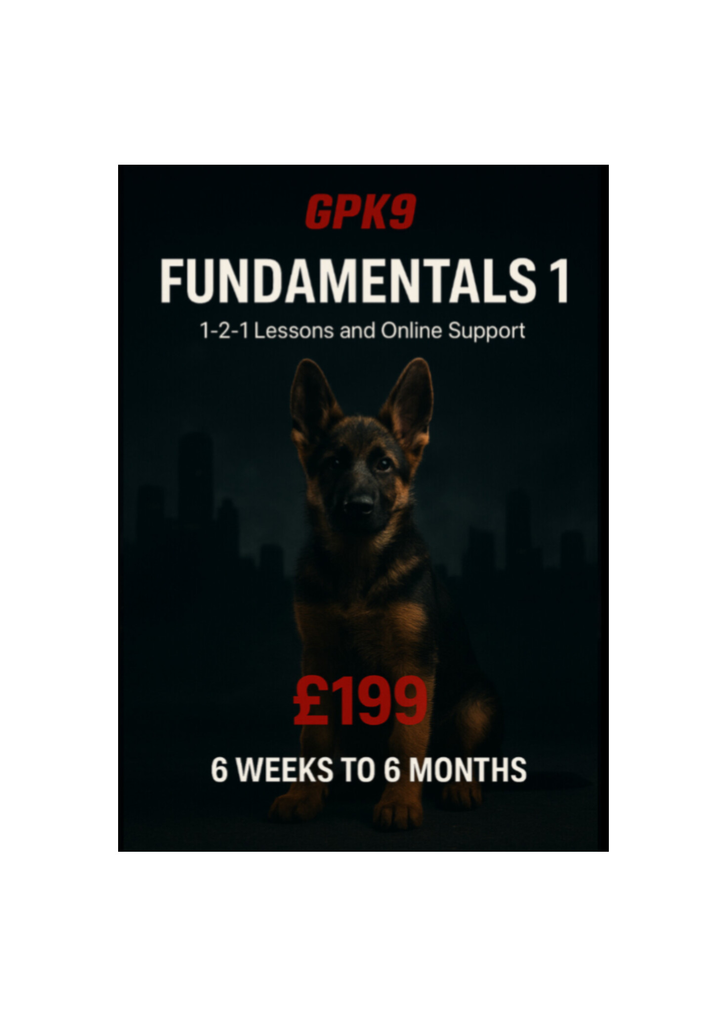 German Shepherd puppy in a dark foggy city background promoting the GPK9 Fundamentals 1 dog training course.