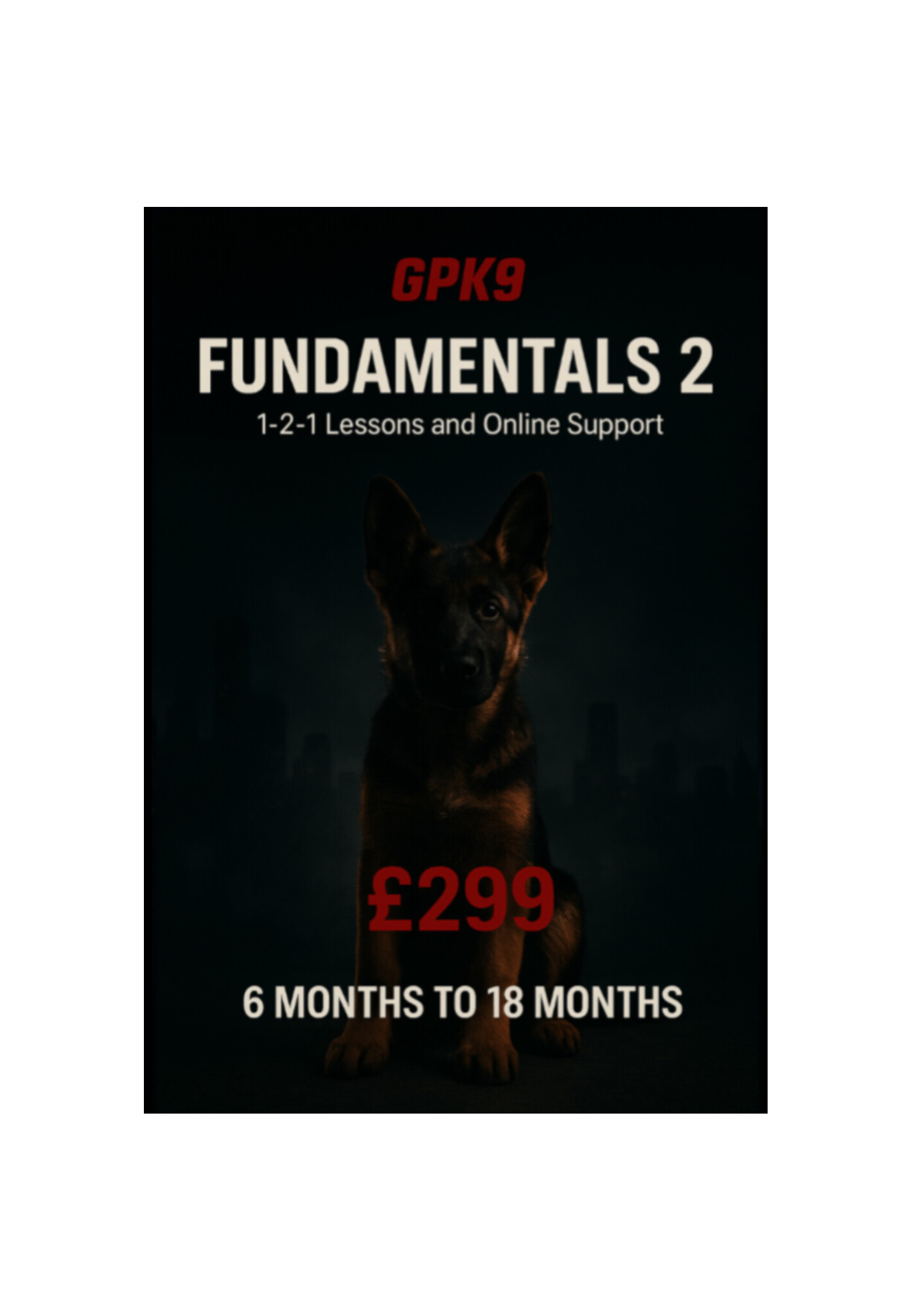 German Shepherd puppy in a dark foggy city background promoting the GPK9 Fundamentals 3 dog training course.
