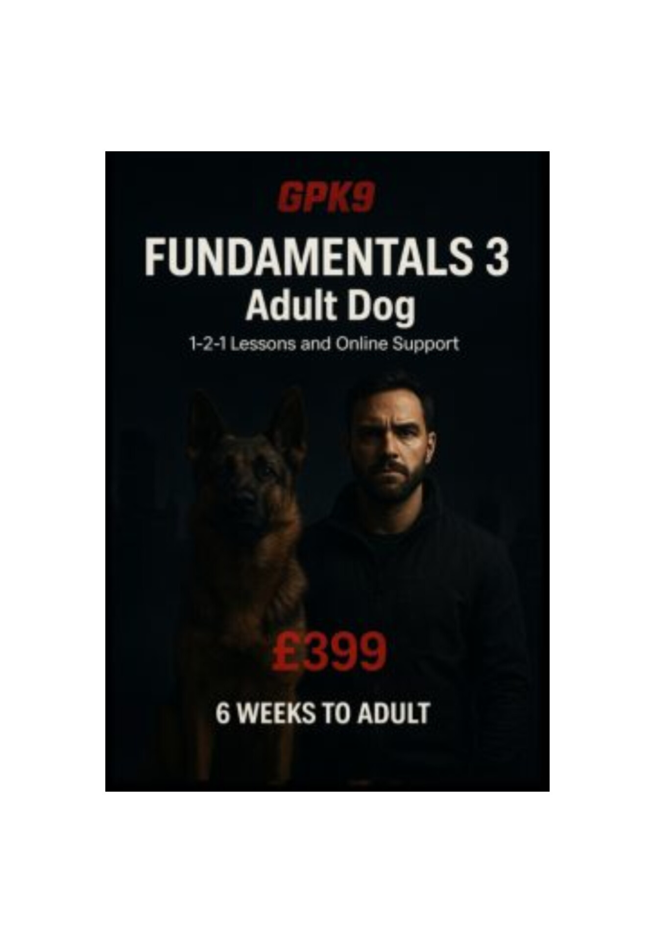 German Shepherd and male trainer standing in a dark foggy setting promoting the GPK9 Fundamentals 3 dog training course.