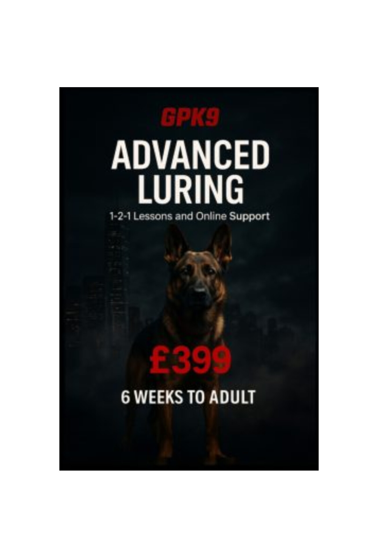 German Shepherd standing in front of dark foggy city buildings promoting the GPK9 Advanced Lawyering dog training course.