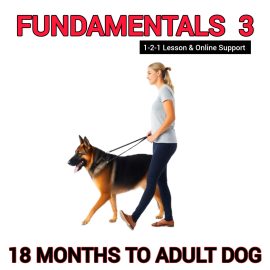 Woman walking a German Shepherd on a lead, wearing a white t-shirt and blue jeans, promoting the Fundamentals 3 online dog training course for adult dogs, with a white background