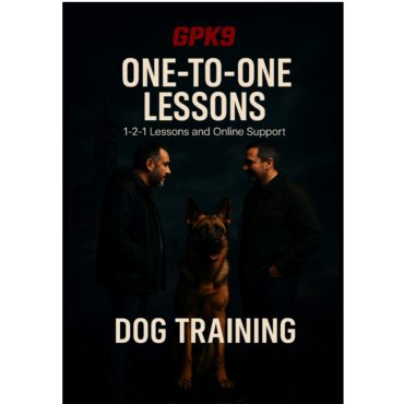 Two men standing with a forward-facing German Shepherd in a dark foggy setting promoting GPK9 1-2-1 dog training lessons.