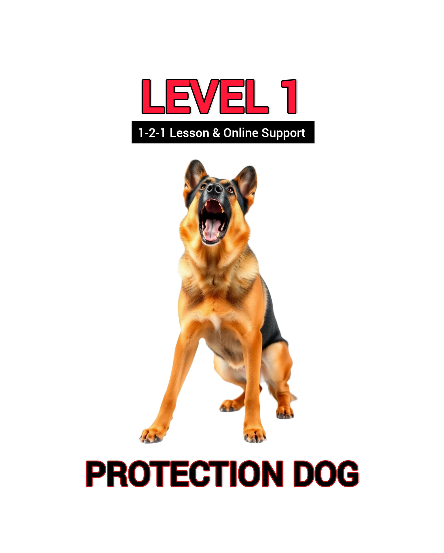 LEVEL 1 PROTECTION DOG