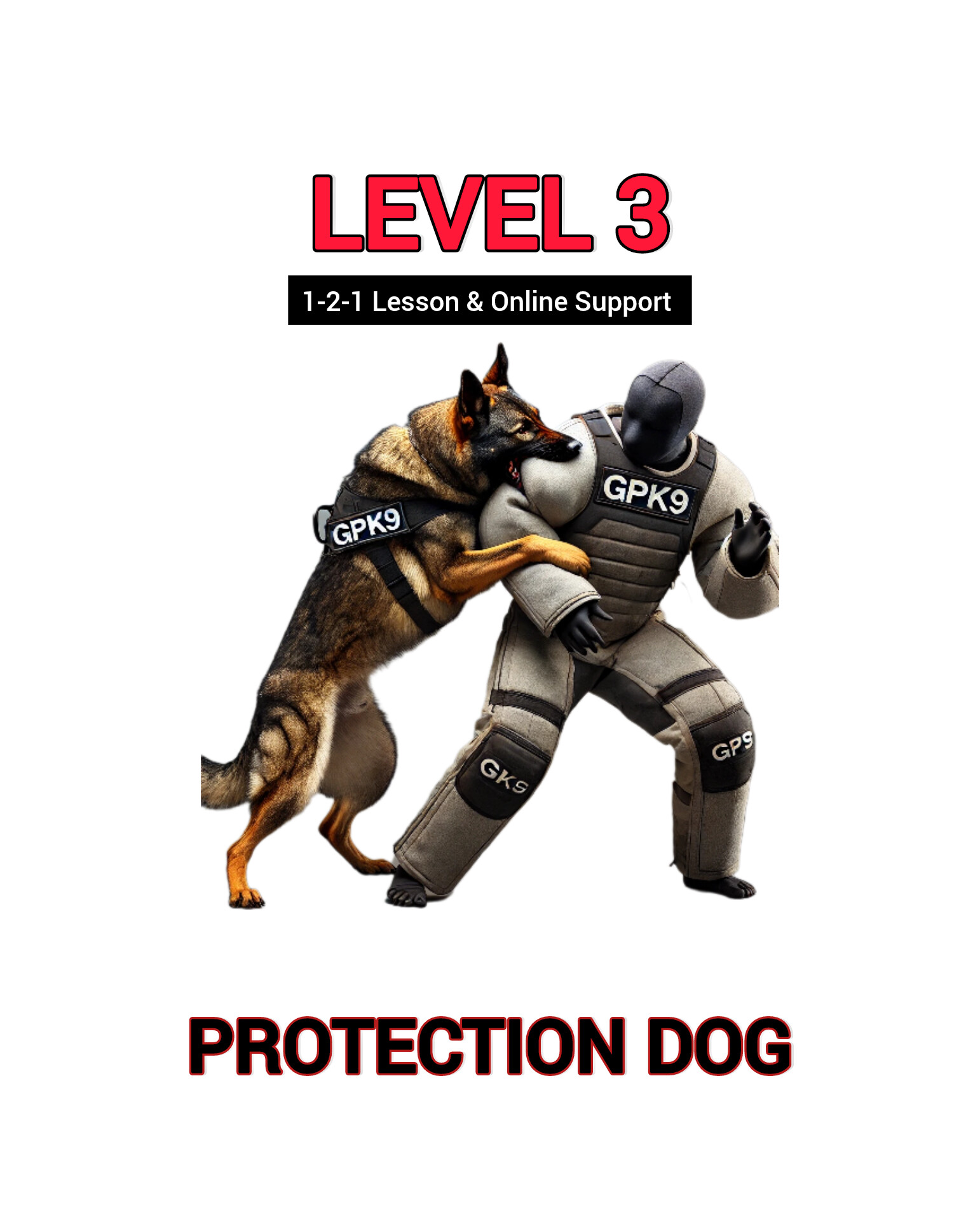 LEVEL 3 PROTECTION DOG