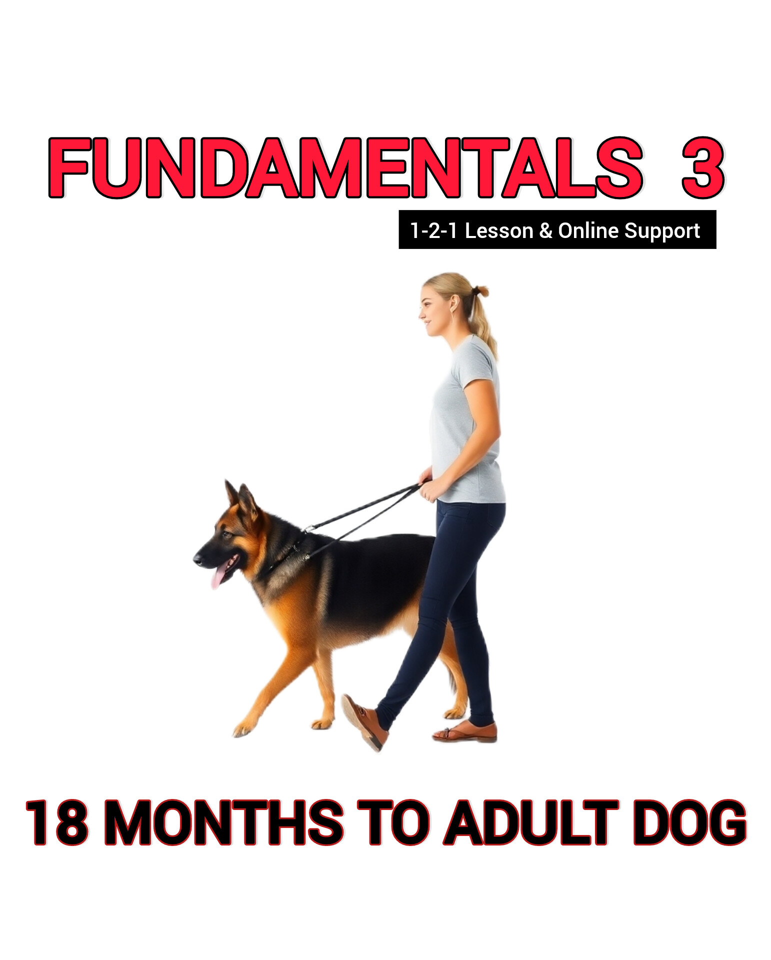 Woman walking a German Shepherd on a lead, wearing a white t-shirt and blue jeans, promoting the Fundamentals 3 online dog training course for adult dogs, with a white background