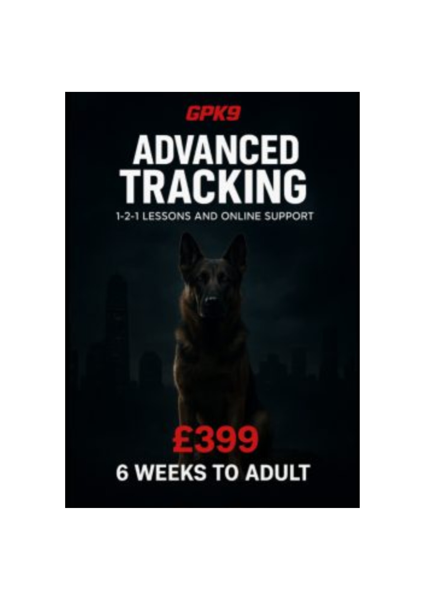 German Shepherd in a dark foggy city setting used to promote the GPK9 Advanced Tracking dog training course.