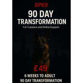 German Shepherd standing in front of dark foggy city buildings promoting the GPK9 90-Day Transformation online dog training course.