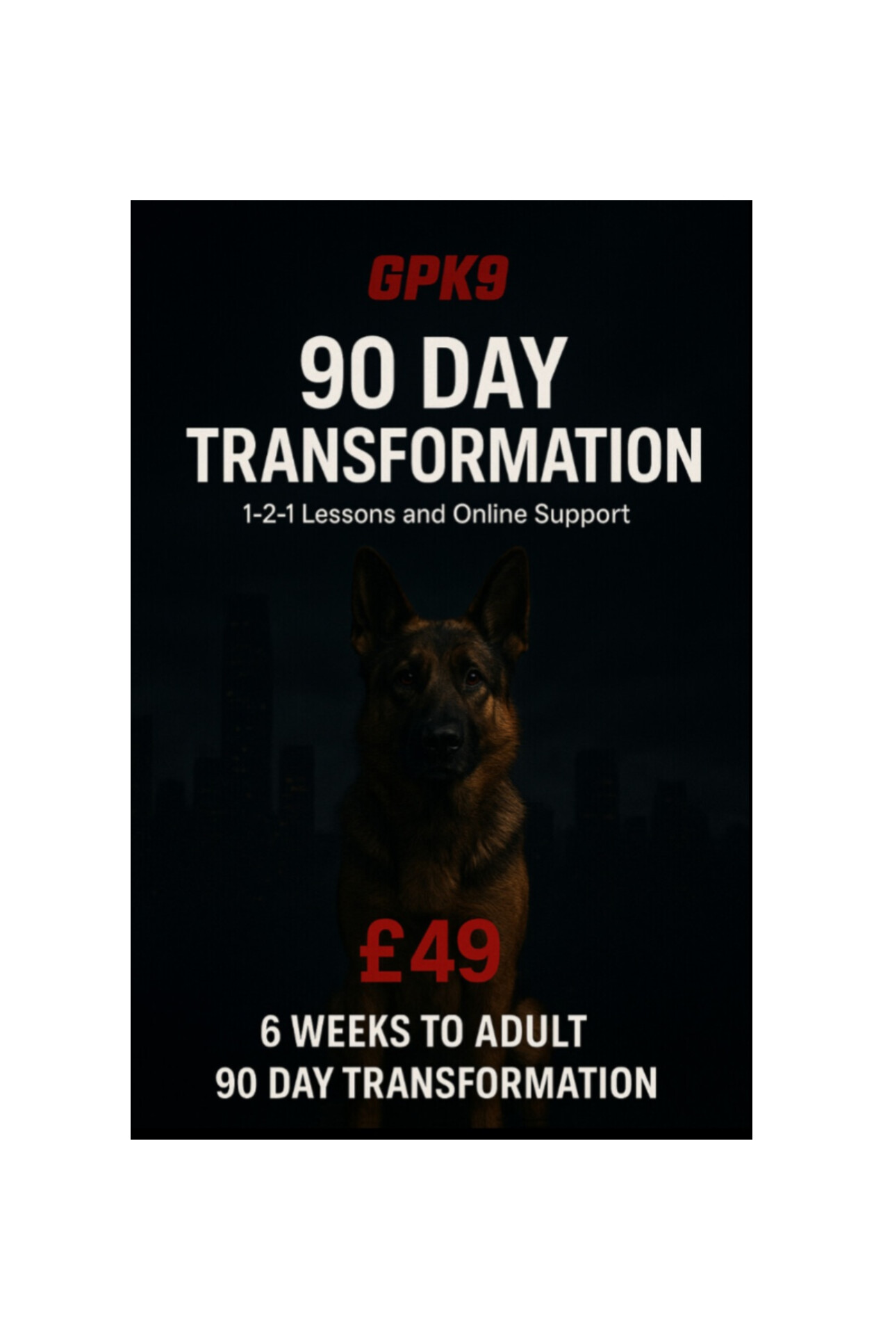 German Shepherd standing in front of dark foggy city buildings promoting the GPK9 90-Day Transformation online dog training course.