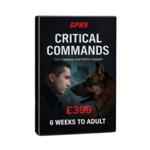 critical-commands