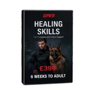 heeling-styles-6-weeks-to-adult-dog