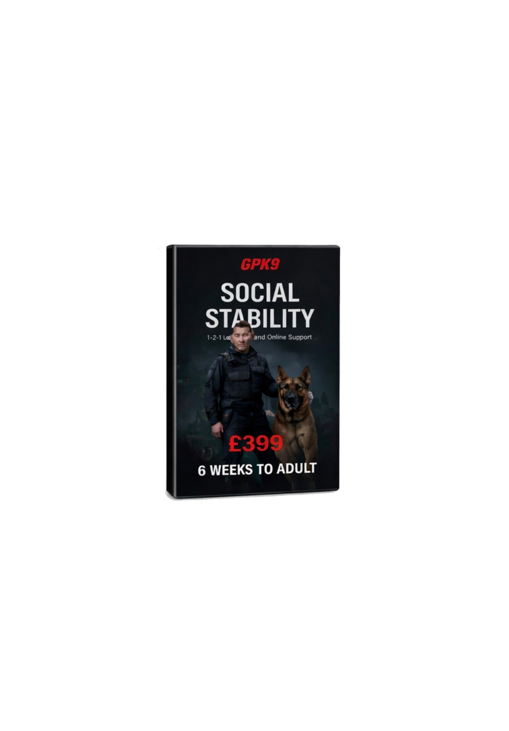 Social Stability