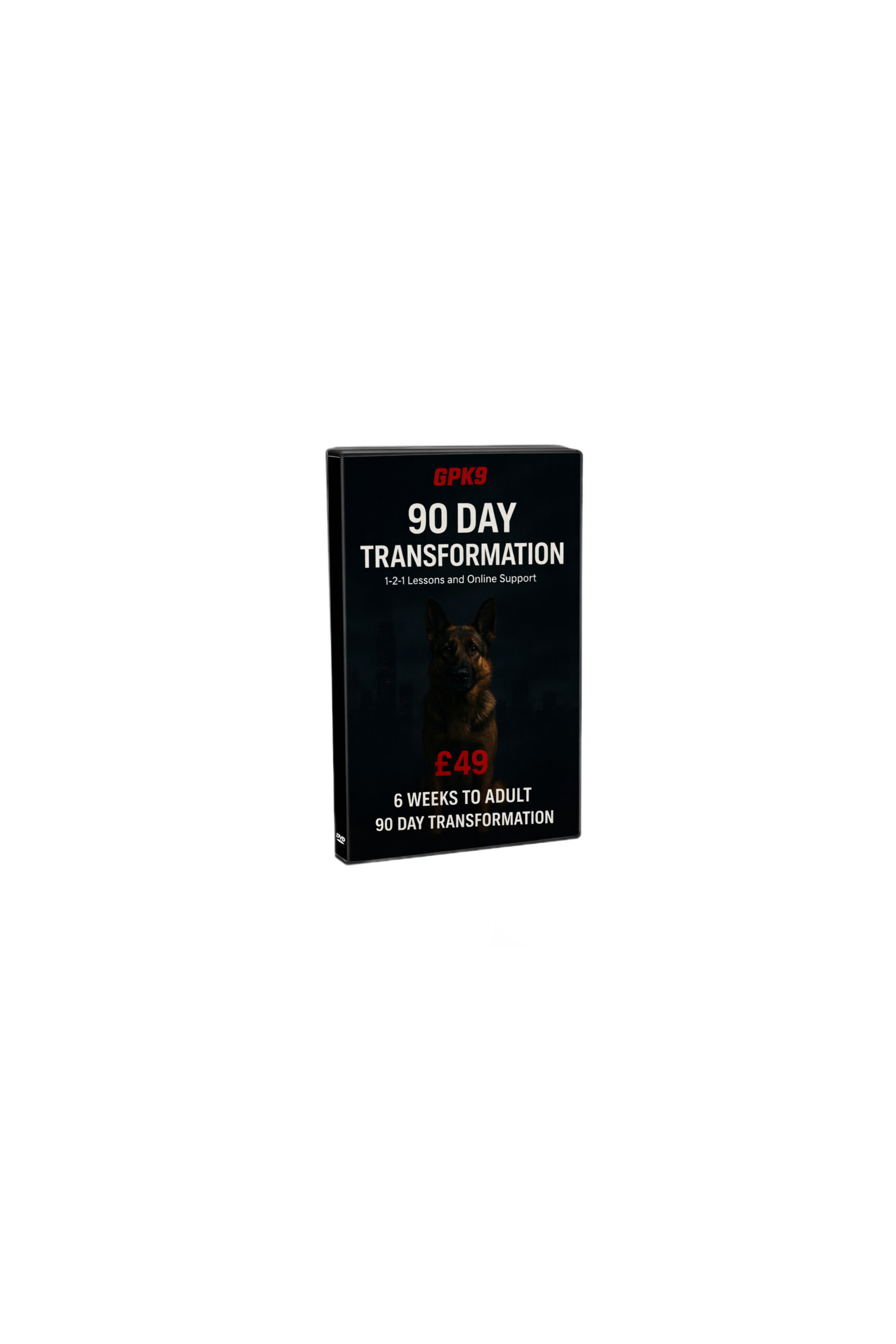 90 Day Transformation