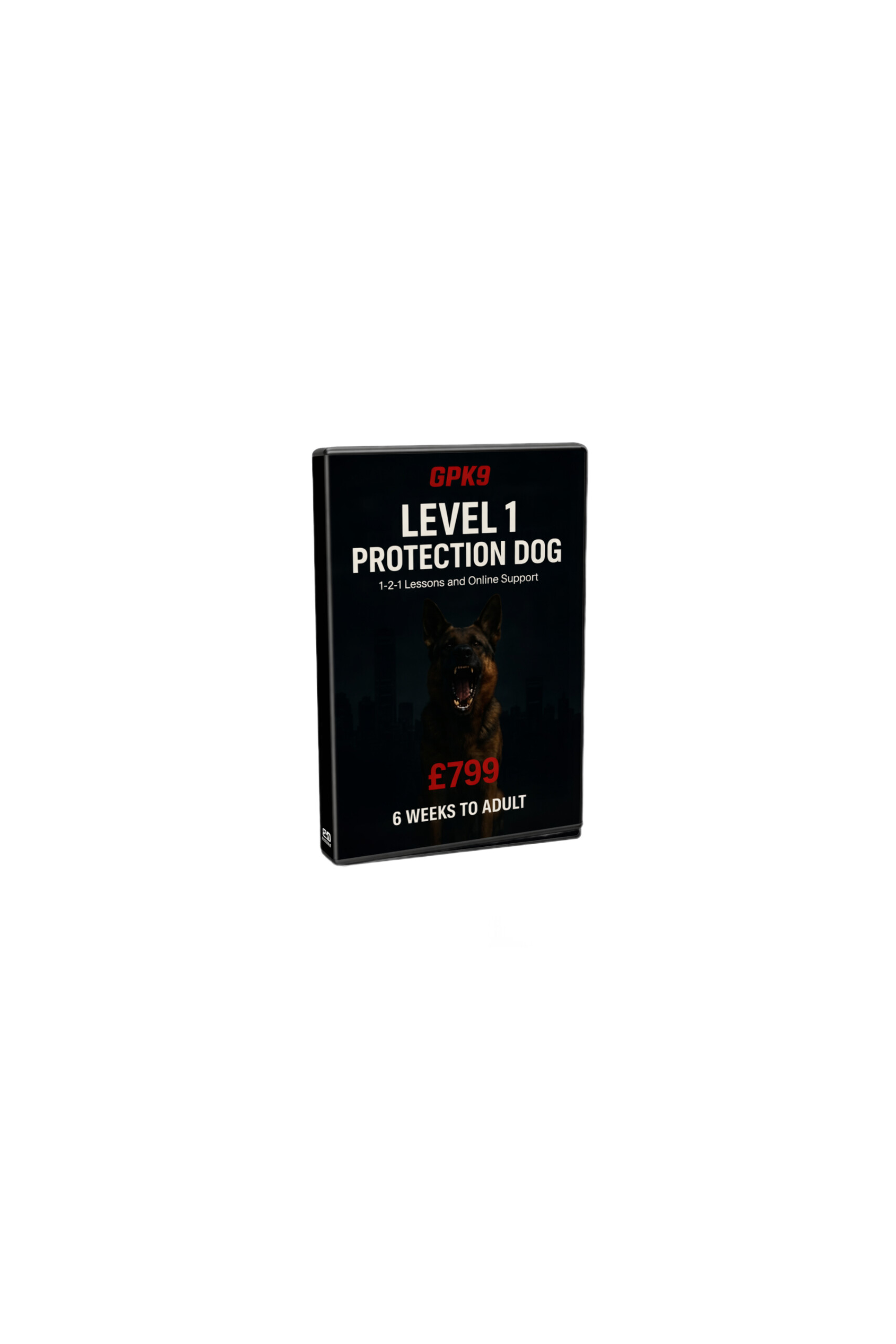 LEVEL 1 PROTECTION DOG
