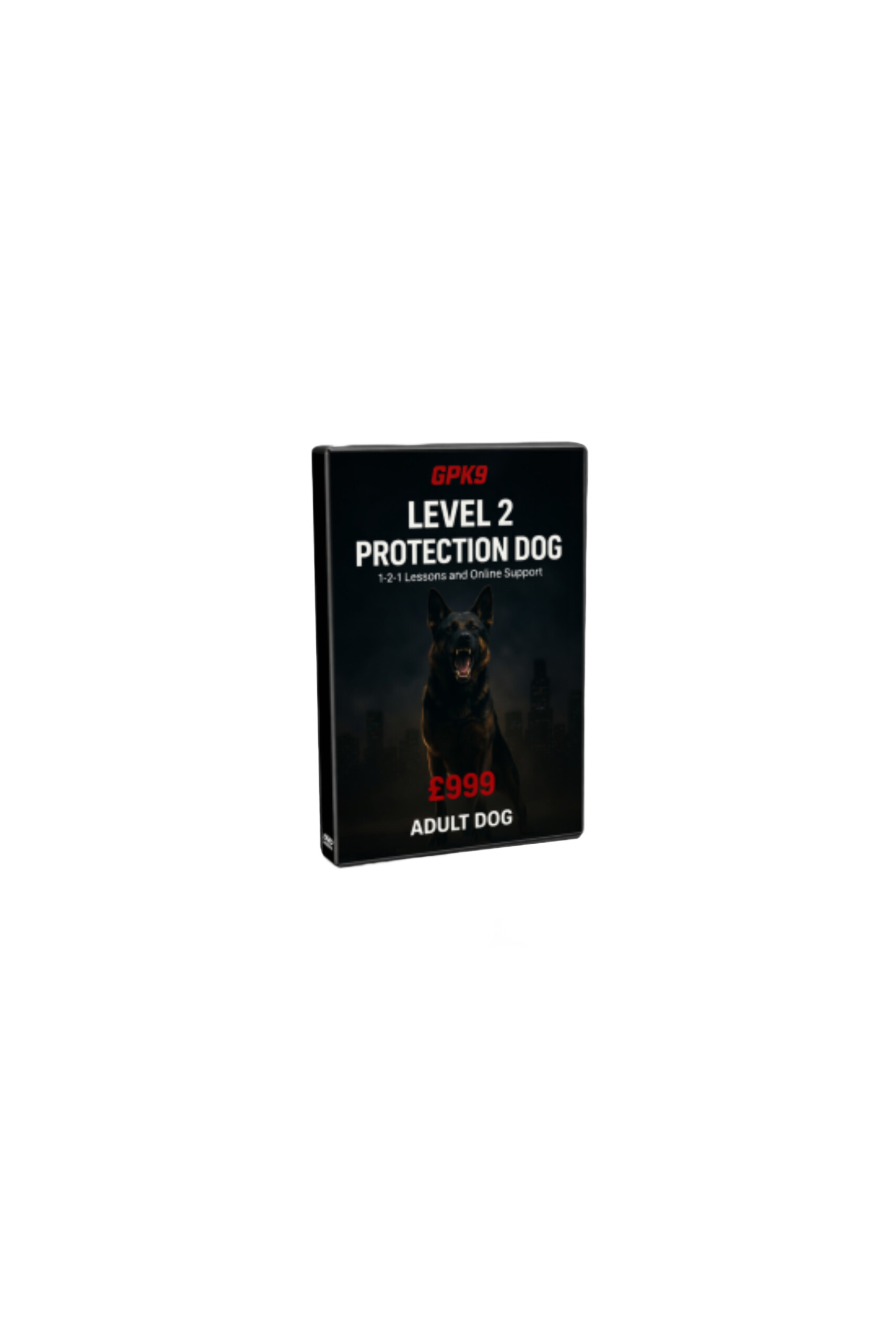 LEVEL 2 PROTECTION DOG