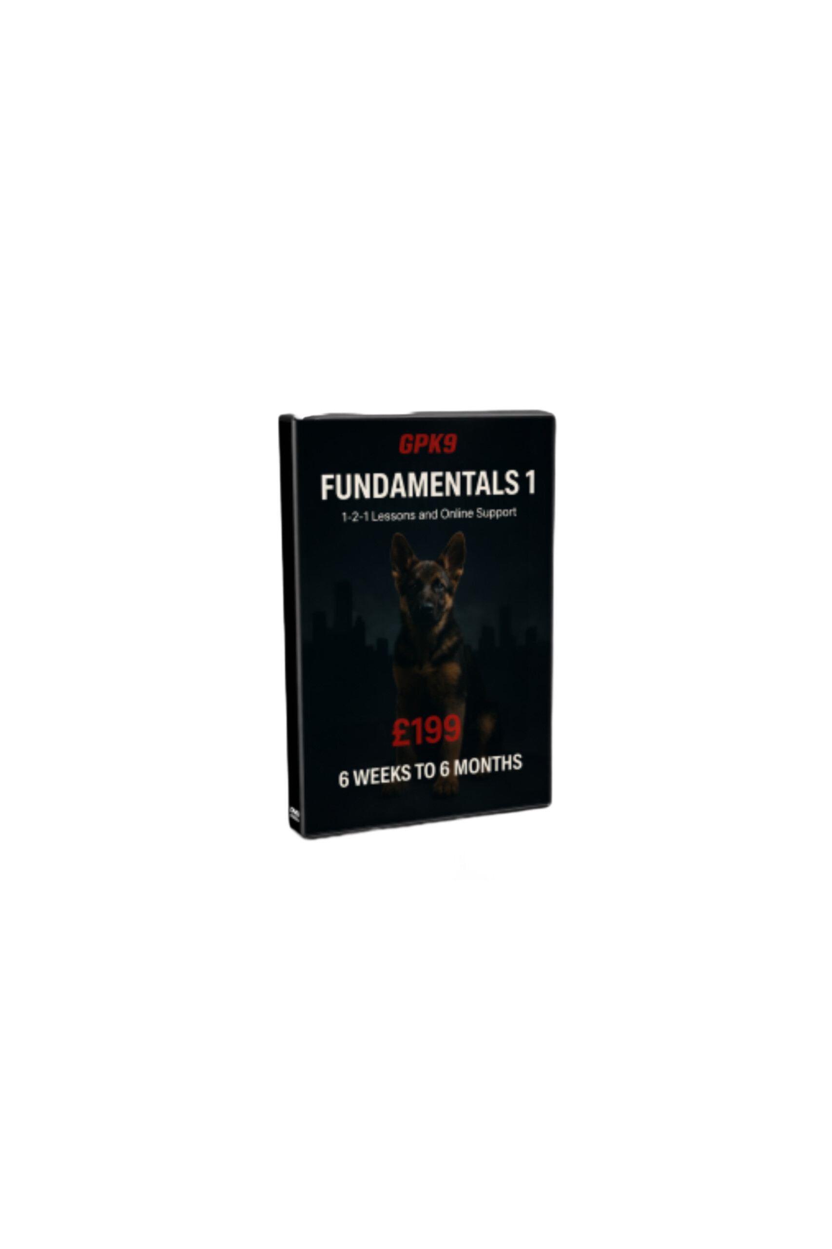 FUNDAMENTALS 1 – 6 Weeks to 6 Months
