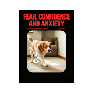 Fear, Confidence and Anxiety
